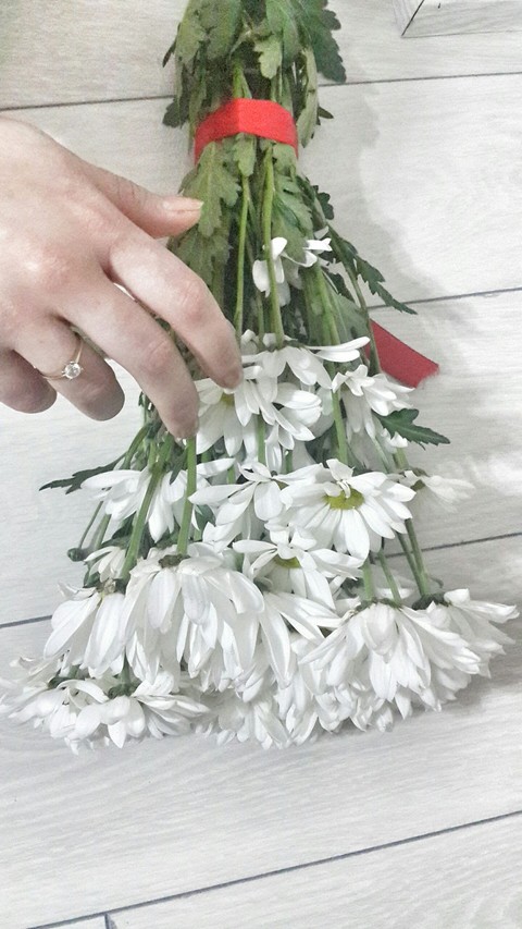 plant, floristry壁纸