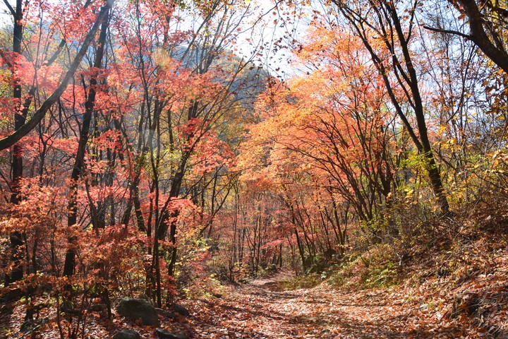 산이미지