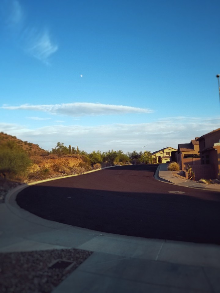 Arizona neighbors