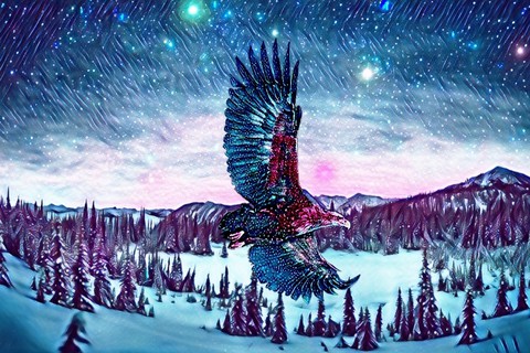 Wild & Free