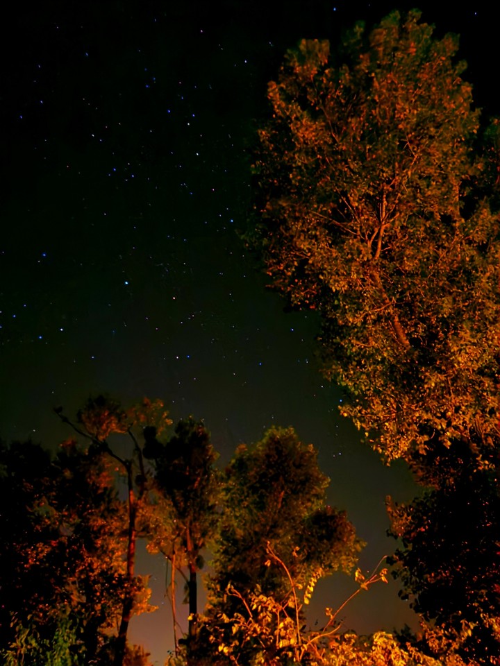 Nocne niebo