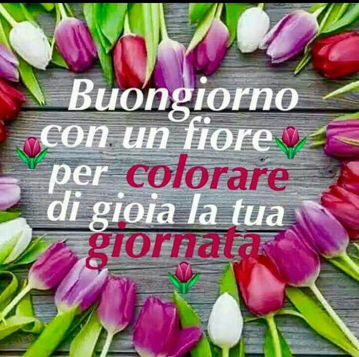 Buongiorno