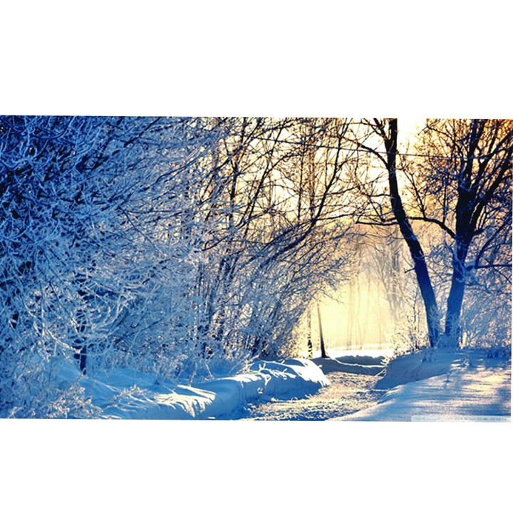 winter