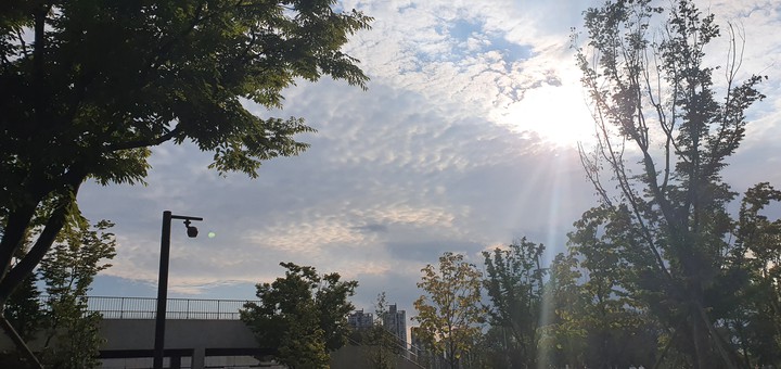 sky