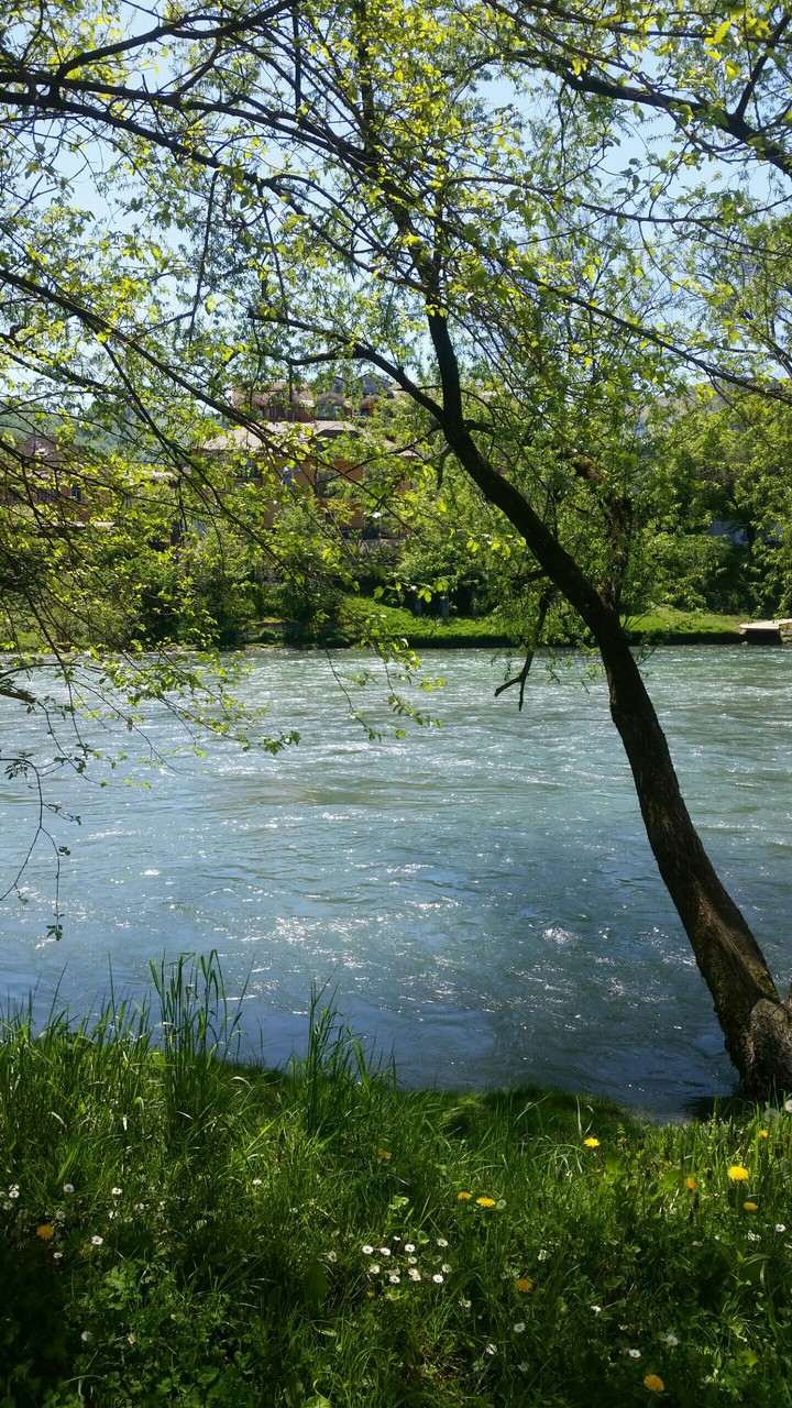River Vrbas