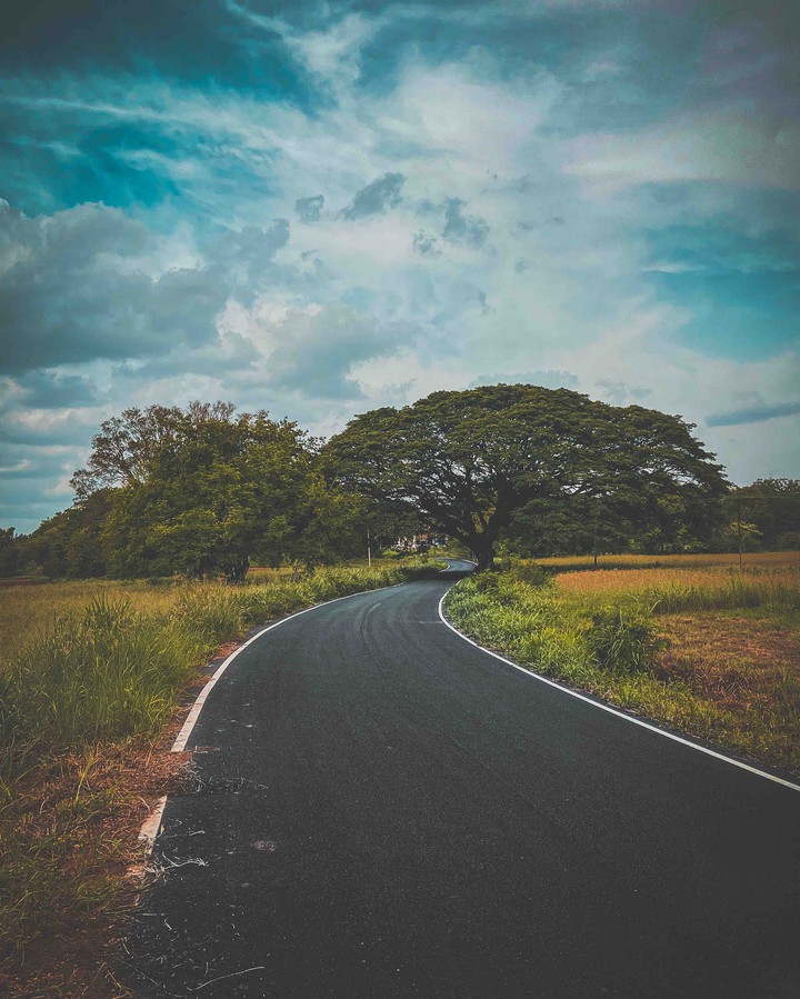 Abandoned roads