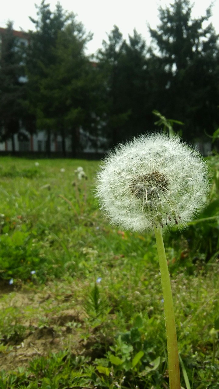 Fluuuwww 