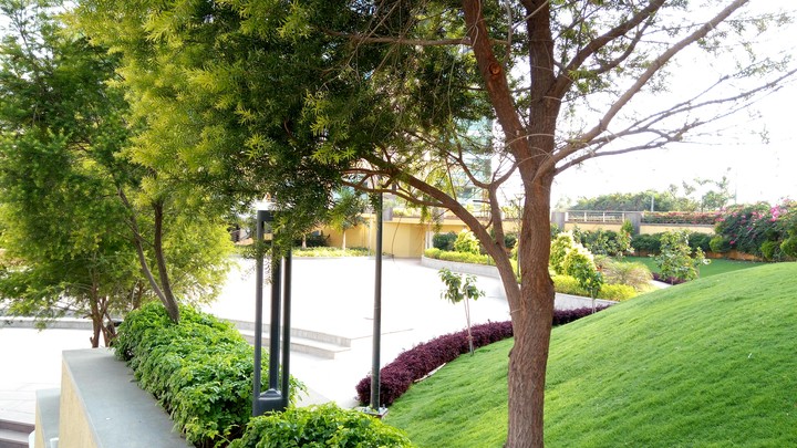 Tech Park #1