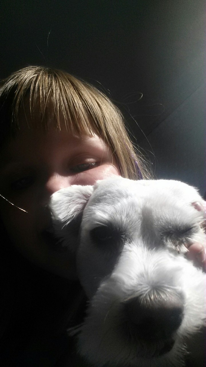 Puk en lisa