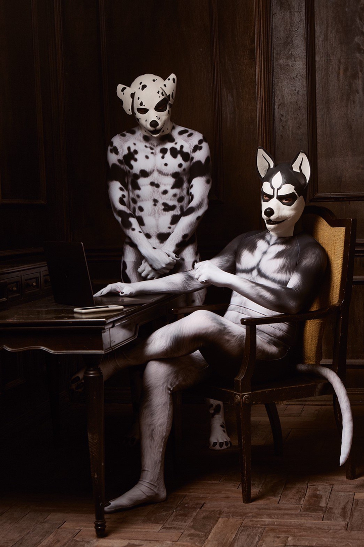 Petplayer Puppies