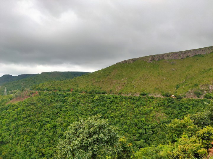 tourism forest