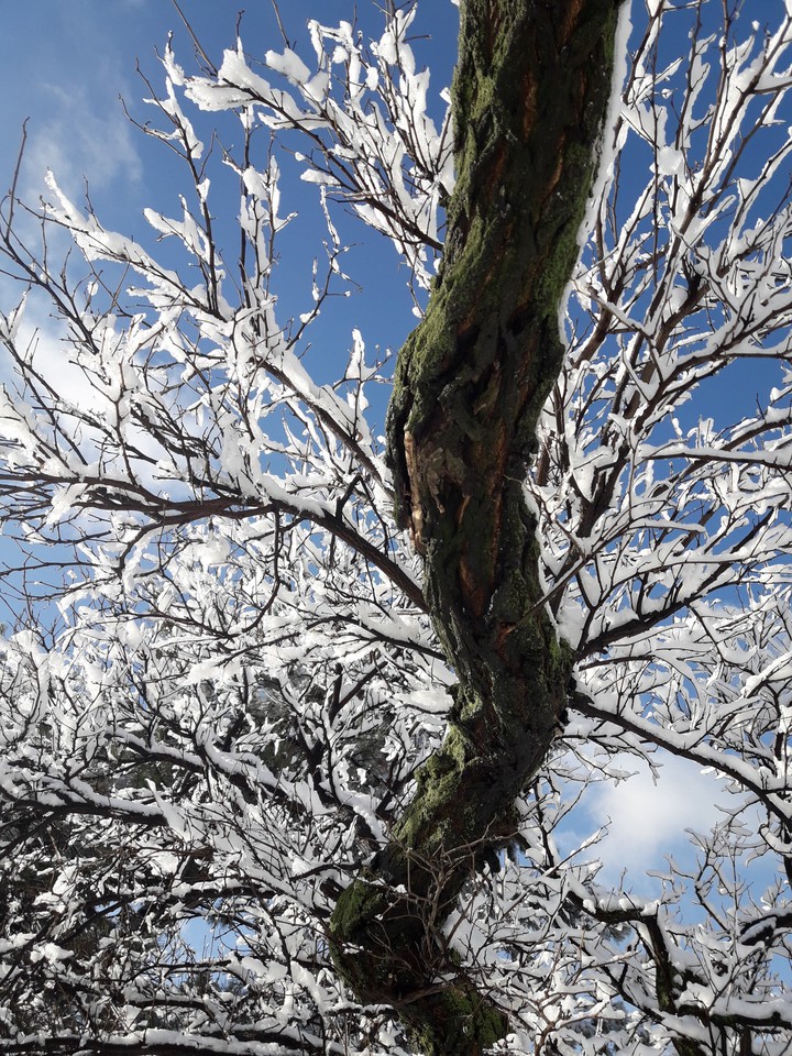 ❄