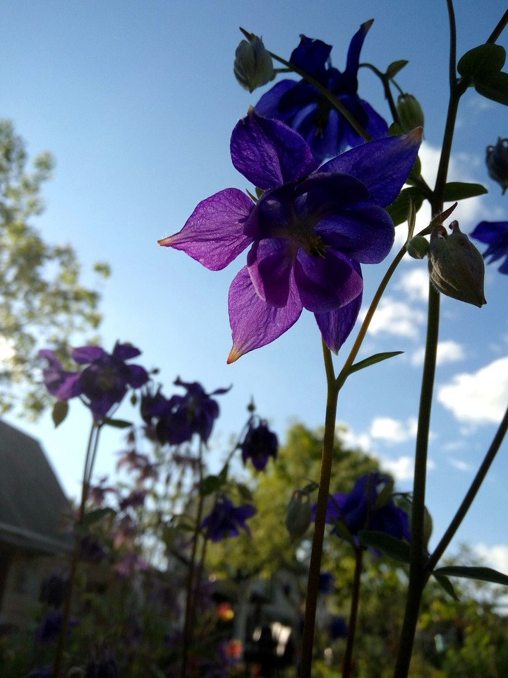 Nature.
