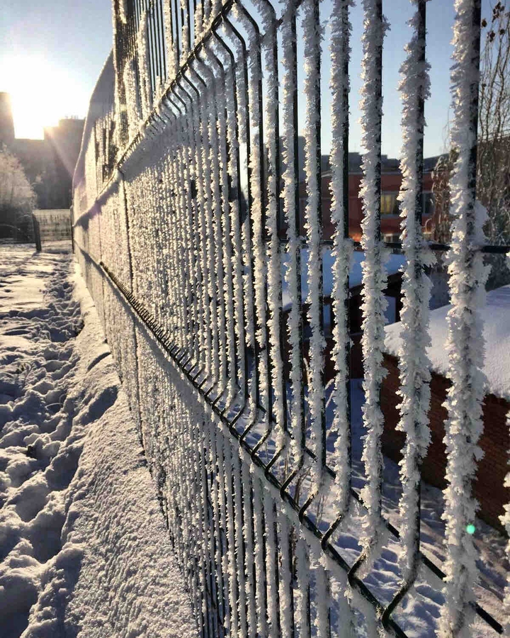 Frost