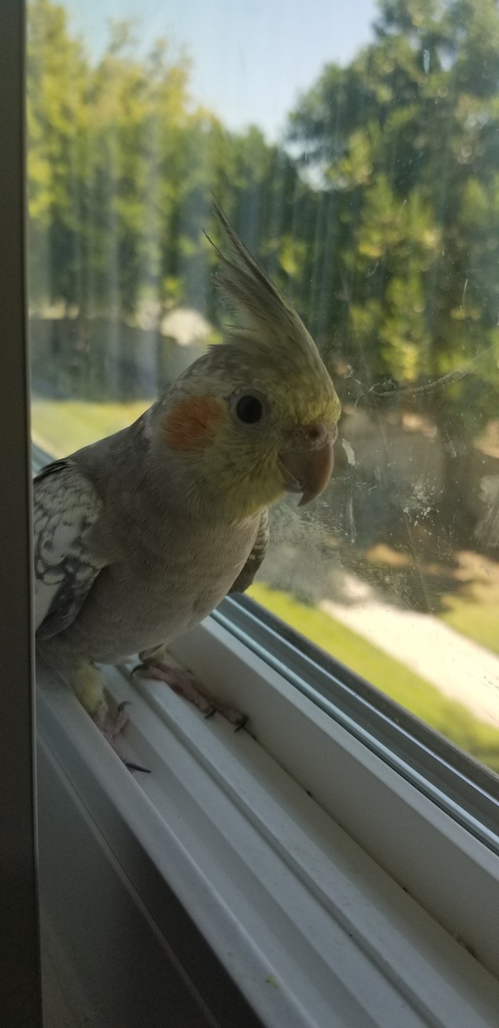 my girl