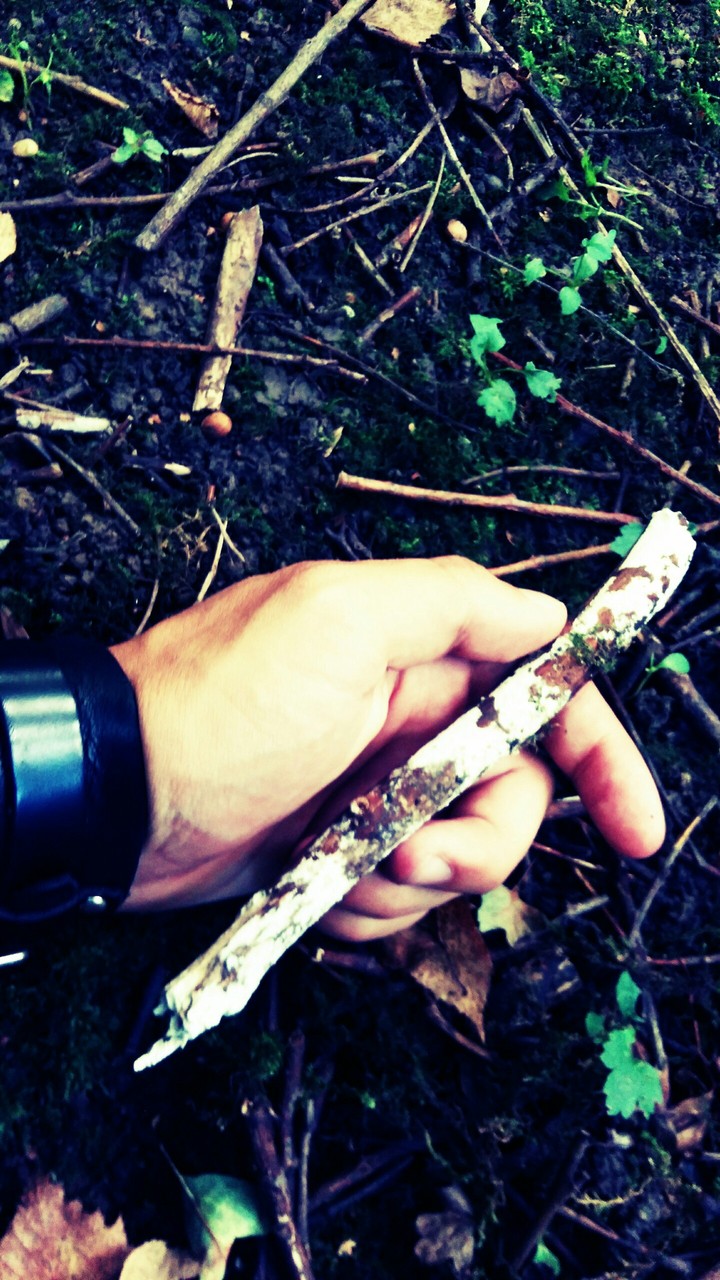 Stick