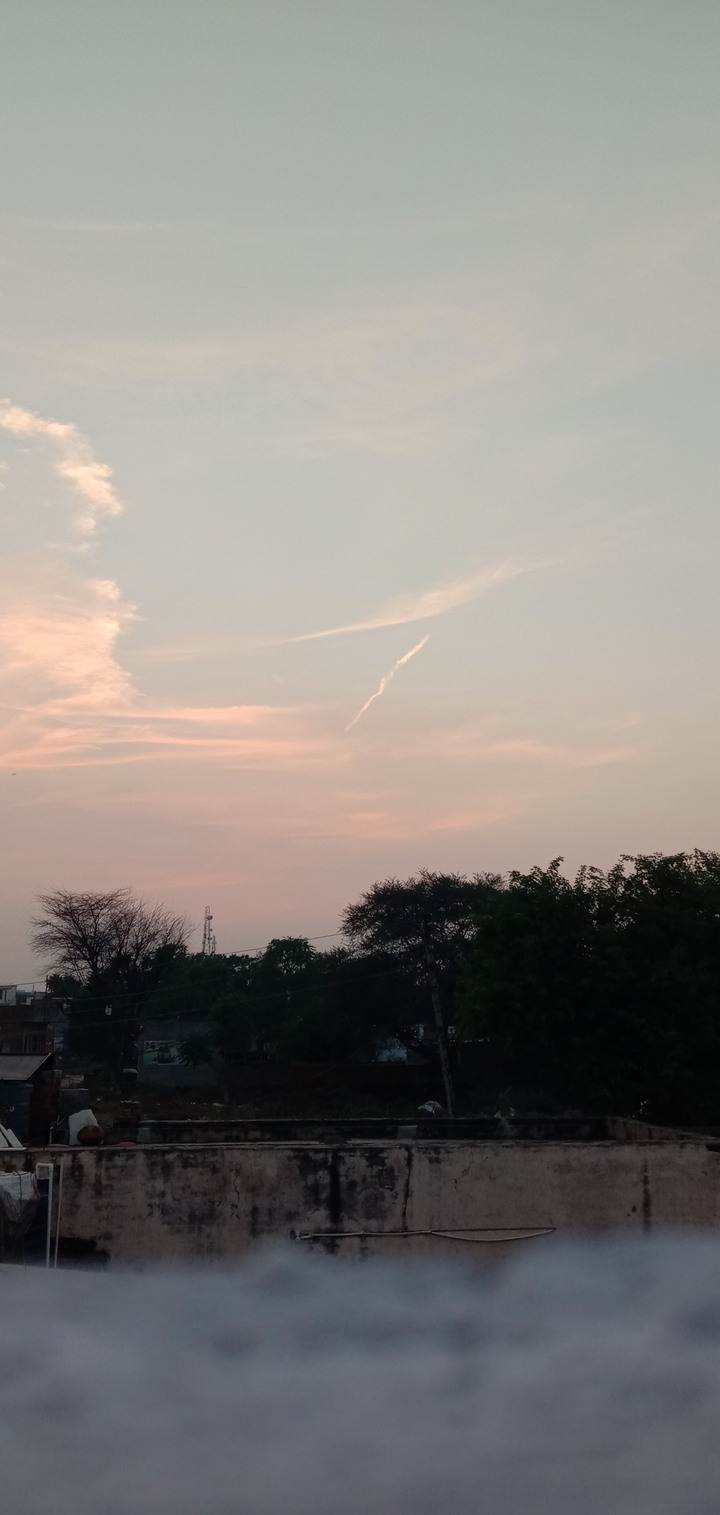 nature view