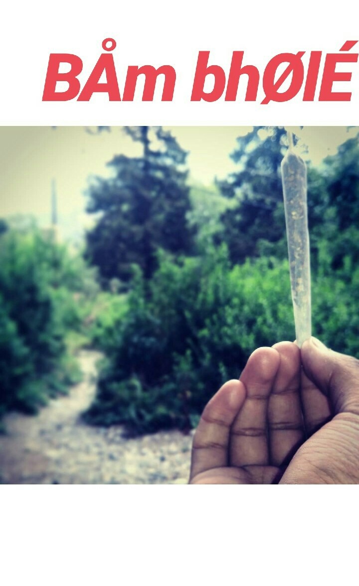 weed