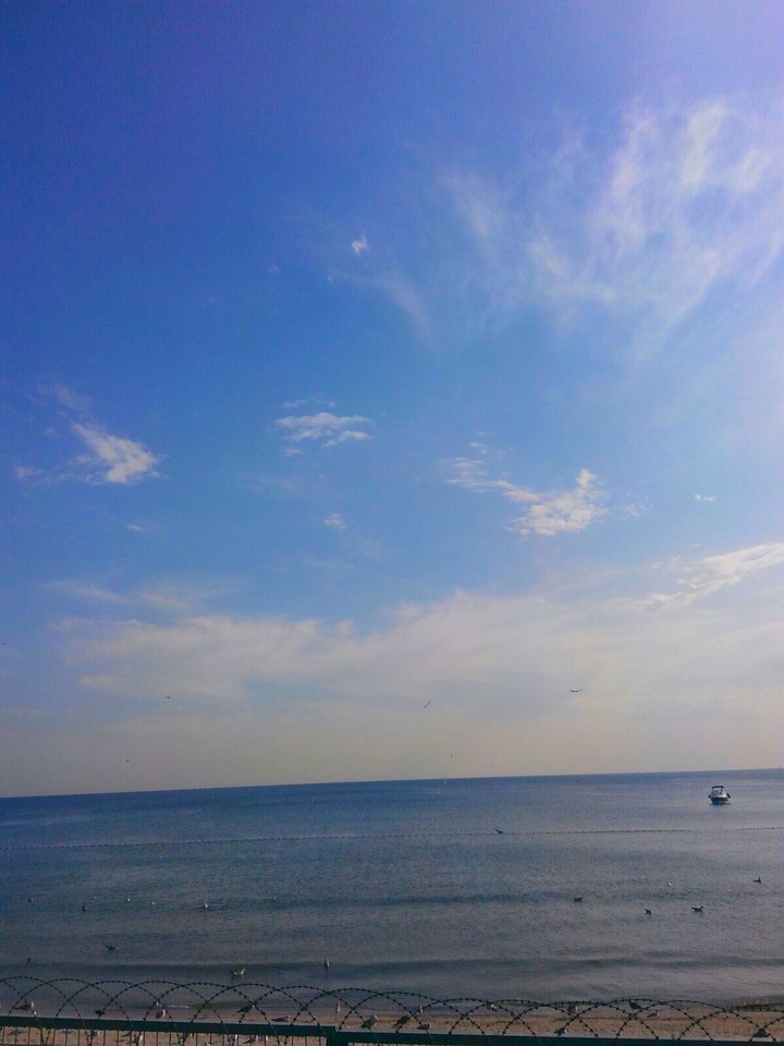 lightblue