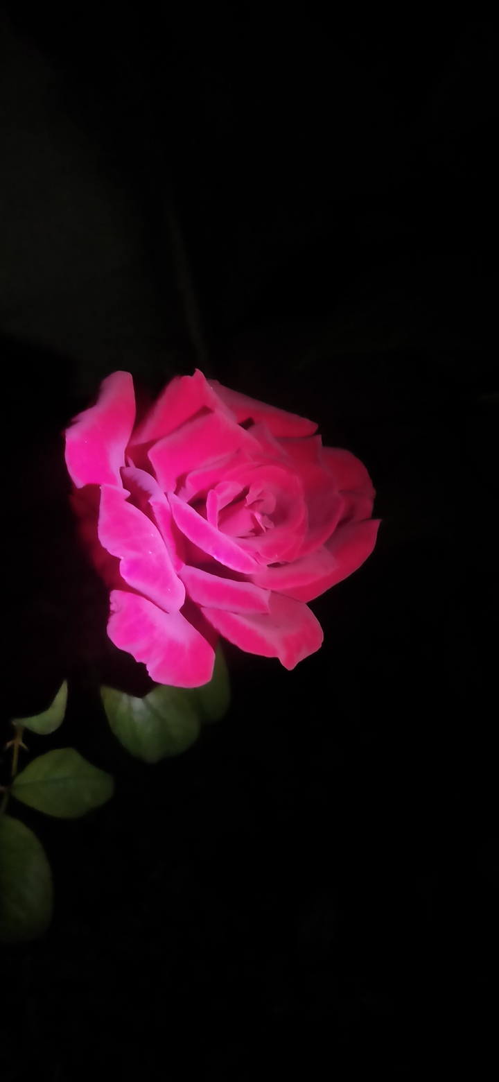 NIGHT TIME