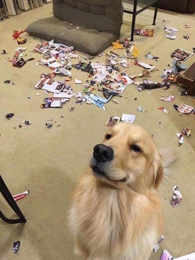 .