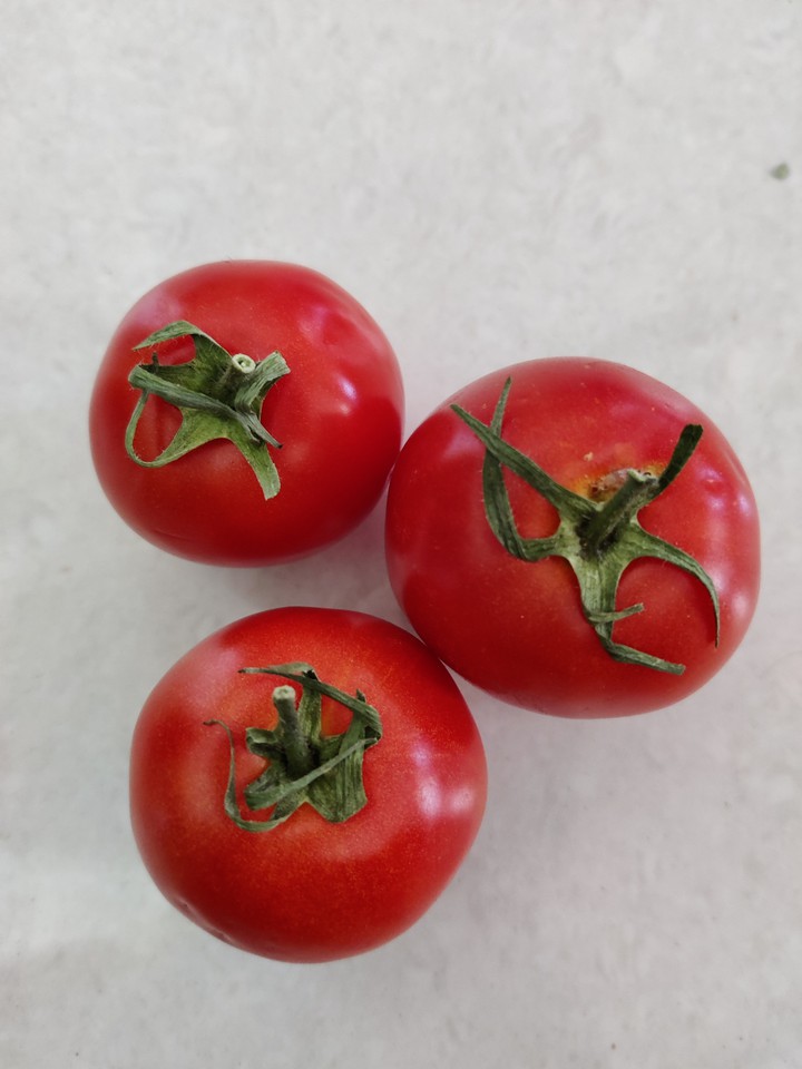 Fresh tomatoes
