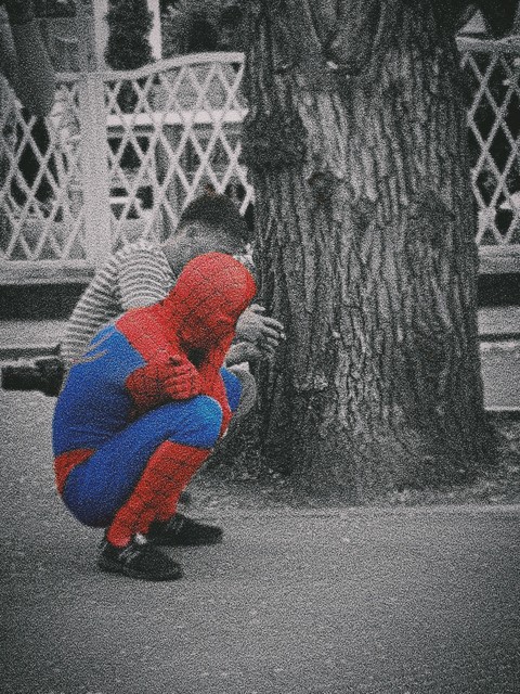 world in eyes of spider man