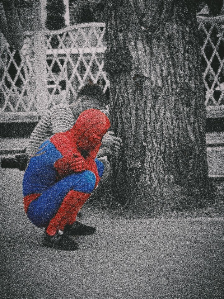 world in eyes of spider man