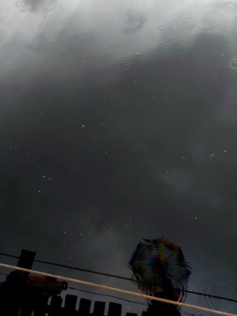 Rain