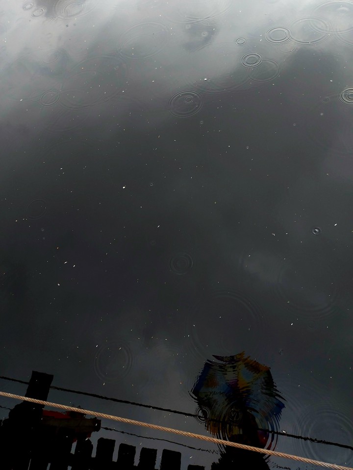 Rain