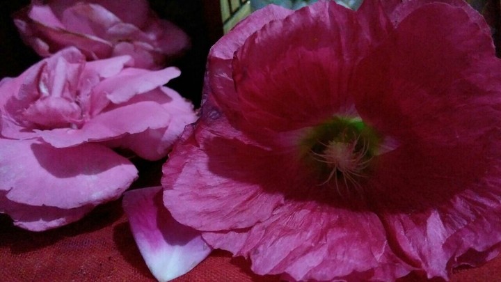 flower