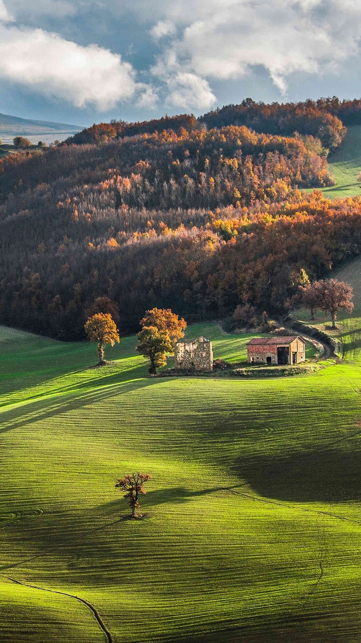 Flat Land
