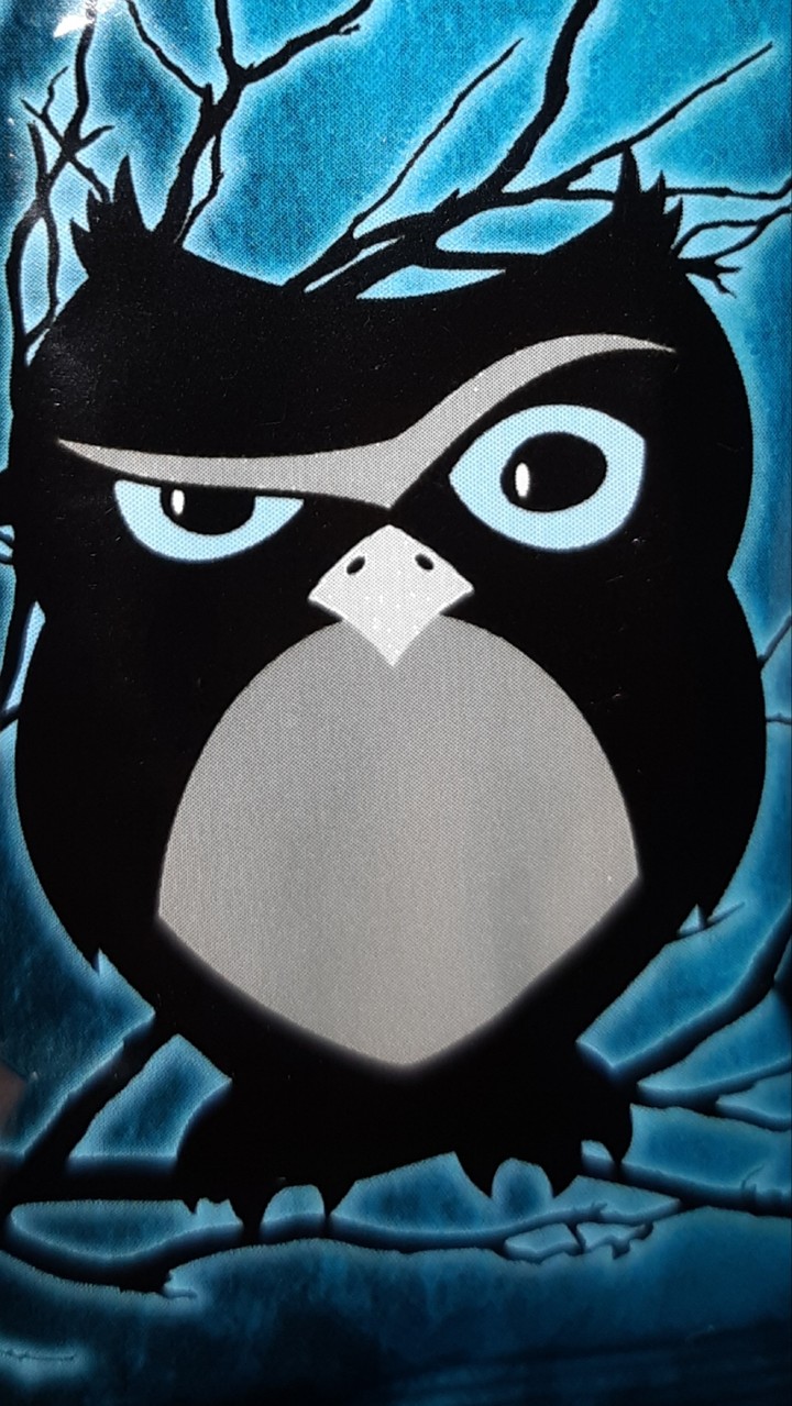 owl
