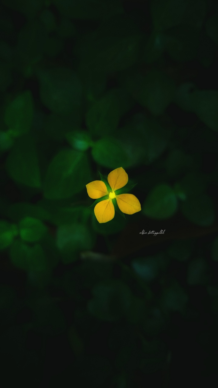 Yelloish