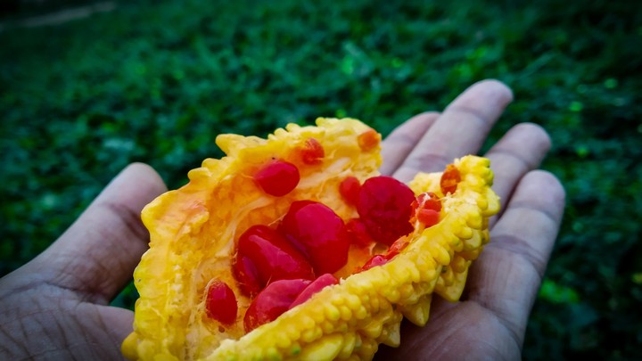 karela