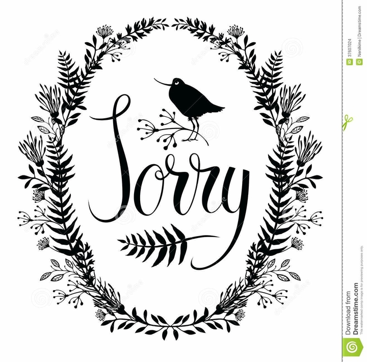 apologies