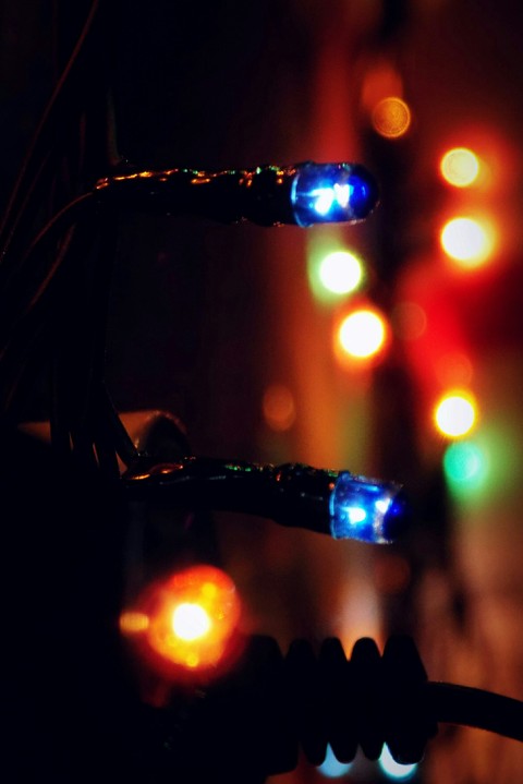 lights