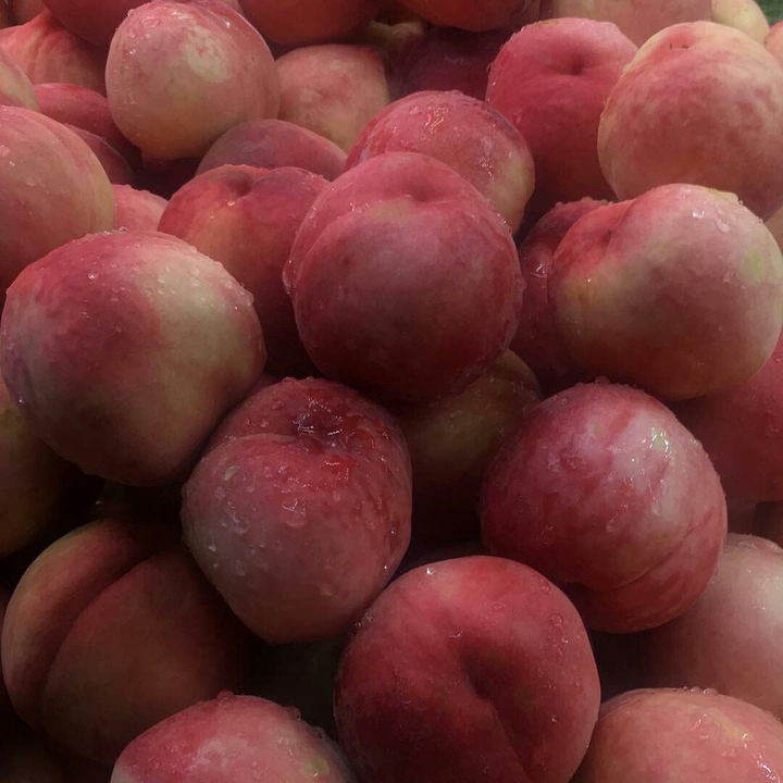 fruit