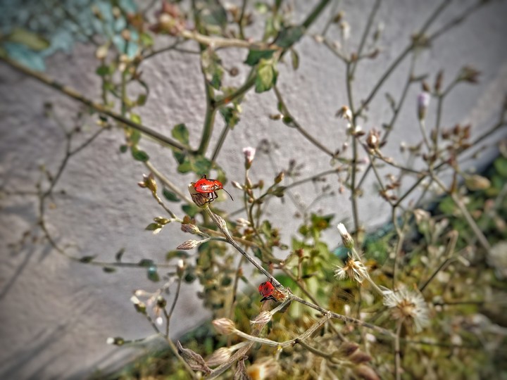 #nature...