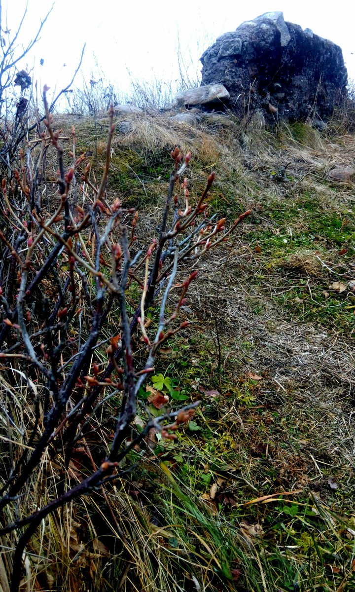 Autumn. Baikal. Wild.