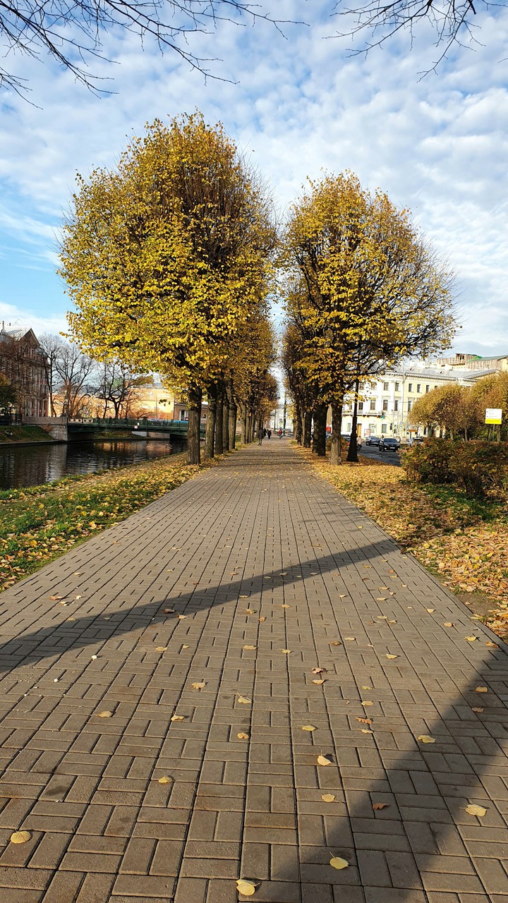 trees