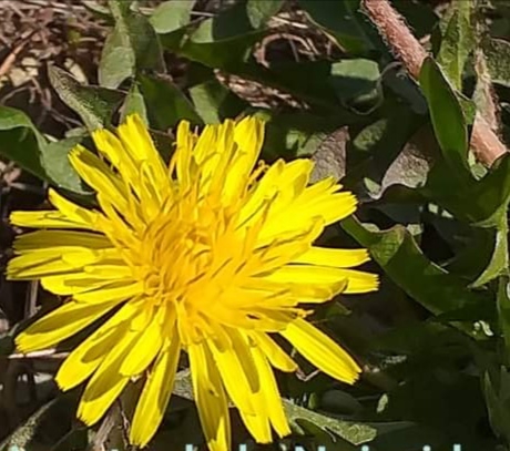 Maybe is AUTUMN outside but in my heart is still SUMMER...