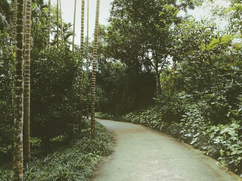 Paisagem