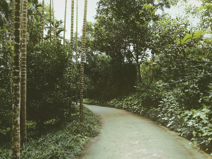 Paisagem