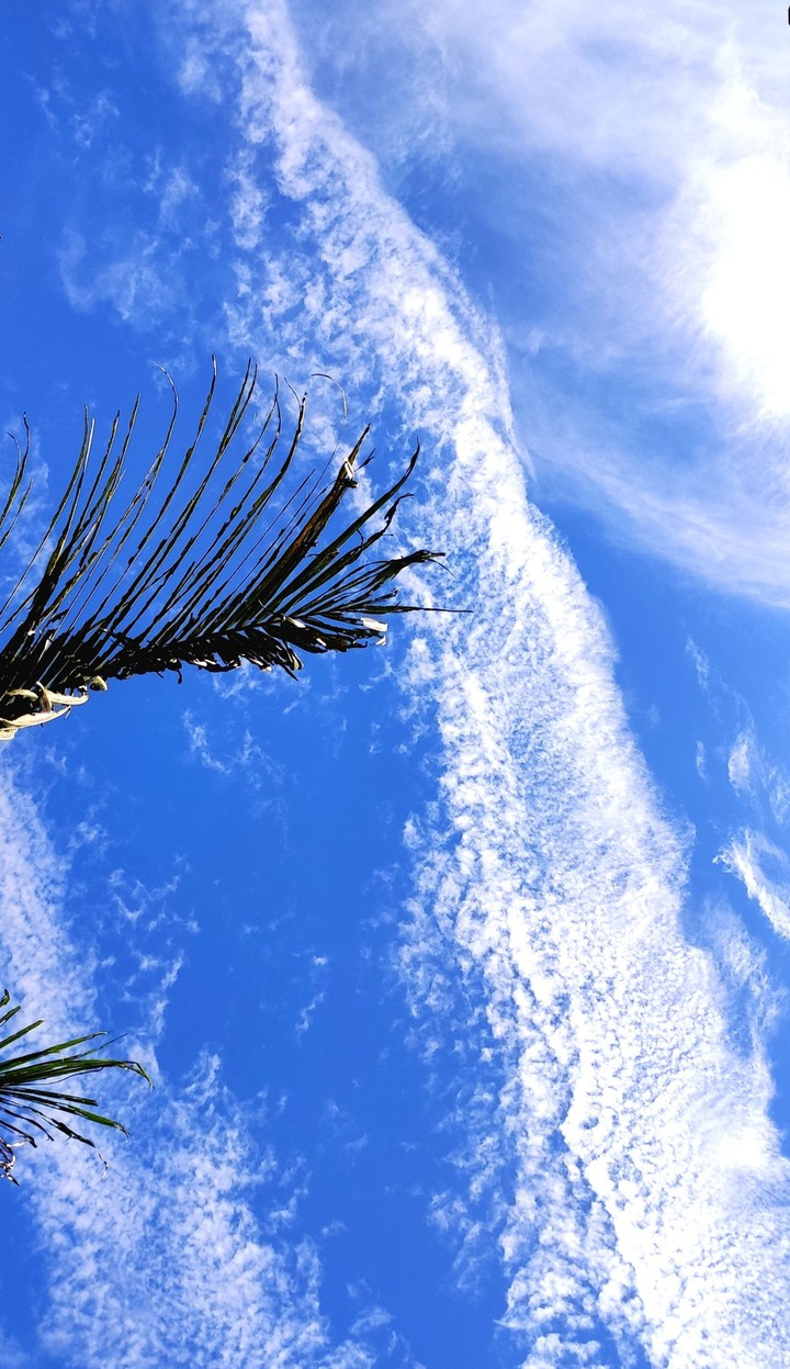 Blue Sky