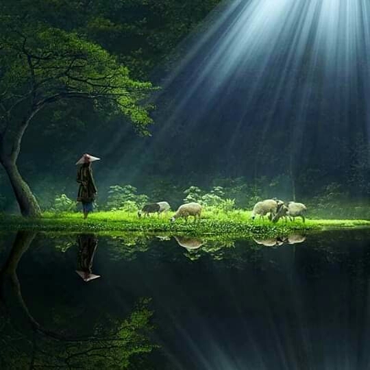 the beauty of Indonesia's nature