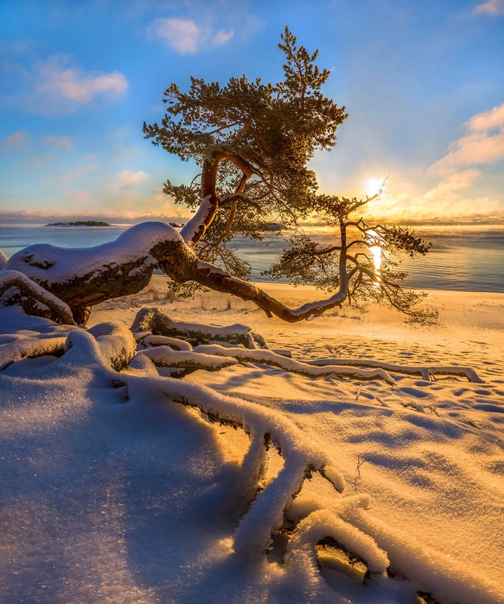 winter