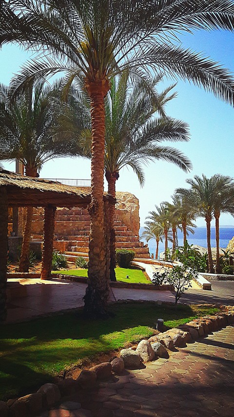 Egypt