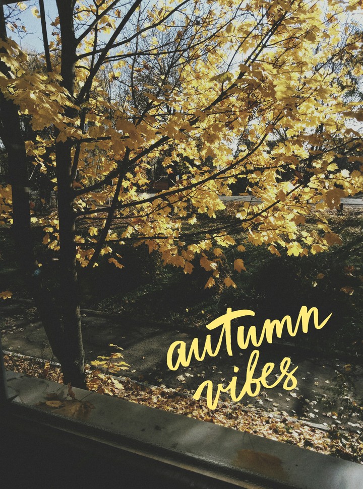 autumn vibes