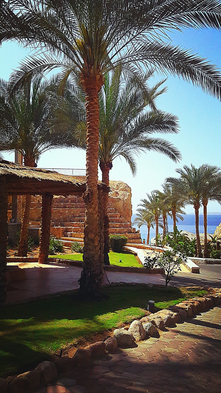 Egypt